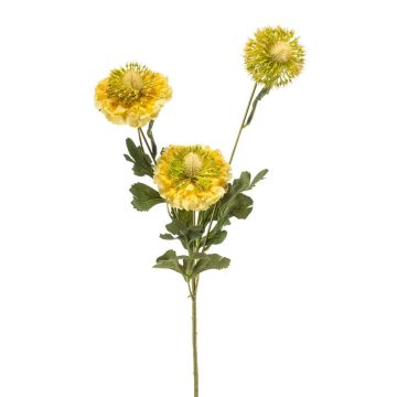 Kunstzweig Scabiosa caucasica ANAYS, gelb-grün, 80cm