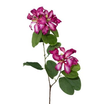 Dekozweig Bauhinia DRELMO, cerise, 85cm