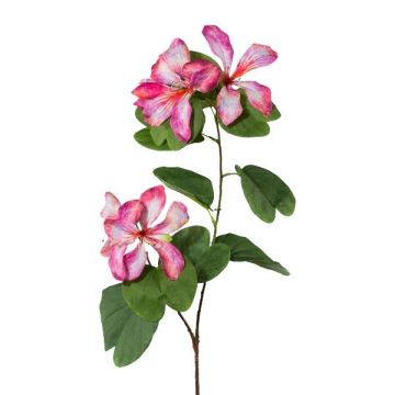 Dekozweig Bauhinia DRELMO, rosa, 85cm