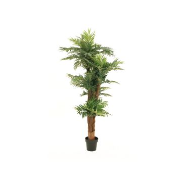 Kunstpalme Areca CYNTHIA, 170cm