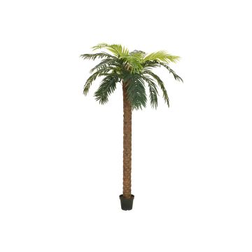 Plastik Phönix Palme JOLEEN, 250cm