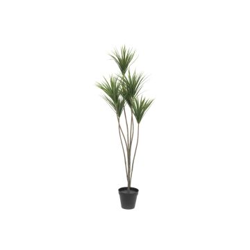 Künstliche Dracaena Marginata KRISHAN, 130cm