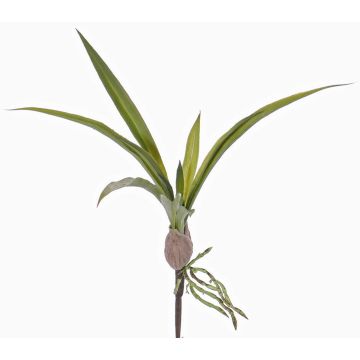 Kunstblätter Oncidium Orchidee HENNES, Luftwurzeln, 25x40cm Kunstblätter Oncidium Orchidee HENNES, Luftwurzeln, 25x40cm