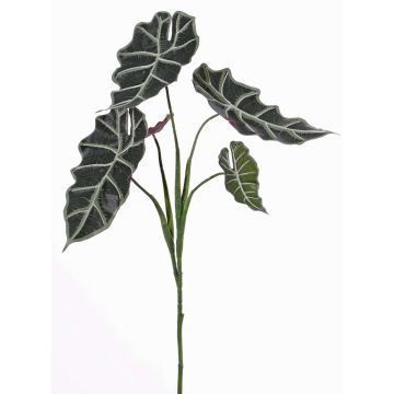 Plastik Alocasia Sanderiana MATHEA auf Steckstab, grün-weiß, 75cm