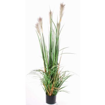 Schilfgras künstlich EYOTA mit Rispen, grün-braun, 150cm Schilfgras künstlich EYOTA mit Rispen, grün-braun, 150cm