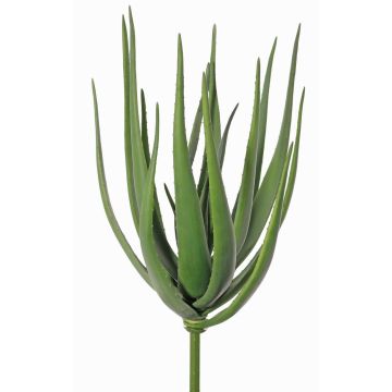 Künstliche Aloe Vera LAURENA, grün, Steckstab, 65cm, Ø25cm Künstliche Aloe Vera LAURENA, grün, Steckstab, 65cm, Ø25cm