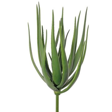 Künstliche Aloe Vera LAURENA, grün, Steckstab, 65cm, Ø25cm