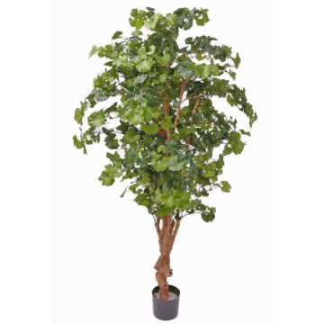 Künstlicher Ginkgo CAI, Naturstamm, 180cm