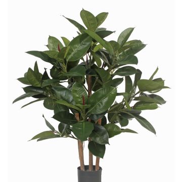 Künstlicher Gummibaum KAYDEN, Naturstämme, grün, 80cm