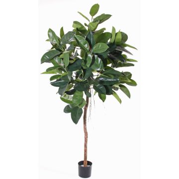 Gummibaum künstlich AMREI, Naturstamm, grün, 150cm