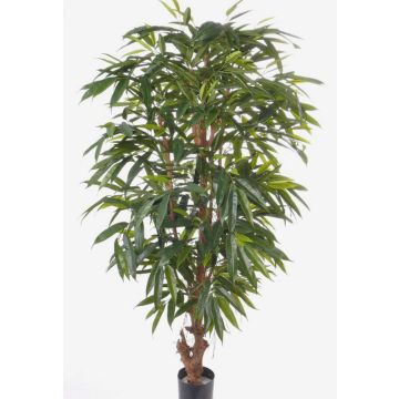 Textil Longifolia MARLIT, Naturstamm, 180cm