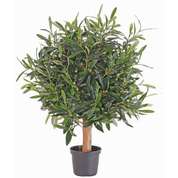 Künstlicher Olivenbaum WYNONA, Naturstamm, Früchte, 50cm