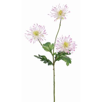 Chrysantheme Zweig künstlich SOLVIE, weiß-rosa, 75cm, Ø11-12cm
