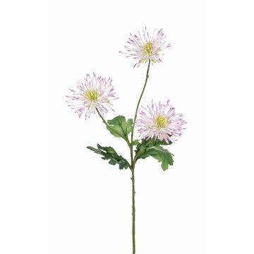 Chrysantheme Zweig künstlich SOLVIE, weiß-rosa, 75cm, Ø11-12cm