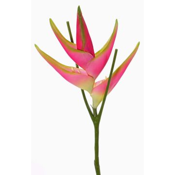 Künstliche Helikonien Blüte TOMKE, pink-grün, 80cm, Ø18cm