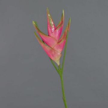Künstliche Helikonien Blüte TOMKE, pink-grün, 80cm, Ø18cm