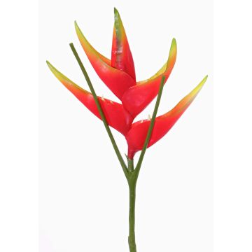 Künstliche Helikonien Blüte TOMKE, rot-grün, 80cm, Ø18cm