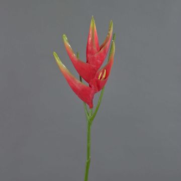 Künstliche Helikonien Blüte TOMKE, rot-grün, 80cm, Ø18cm