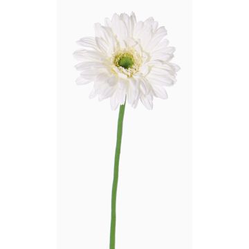 Gerbera künstlich HELLI, creme, 65cm, Ø12cm
