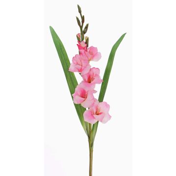 Künstliche Gladiole ELEA, rosa, 80cm, Ø7-9cm Künstliche Gladiole ELEA, rosa, 80cm, Ø7-9cm