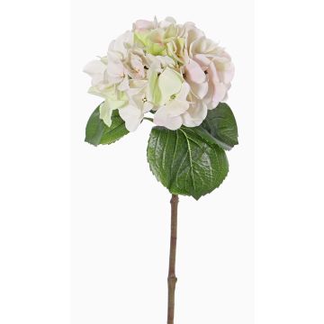 Hortensien Kunstblume CHIDORI, creme-rosa-grün, 60cm, Ø18cm Hortensien Kunstblume CHIDORI, creme-rosa-grün, 60cm, Ø18cm