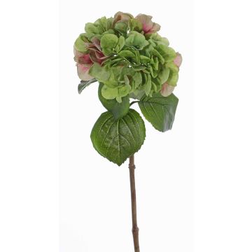 Hortensien Kunstblume CHIDORI, grün-rosa, 60cm, Ø18cm Hortensien Kunstblume CHIDORI, grün-rosa, 60cm, Ø18cm