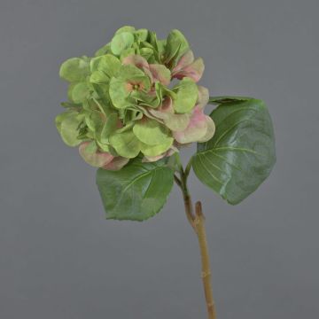 Hortensien Kunstblume CHIDORI, grün-rosa, 60cm, Ø18cm