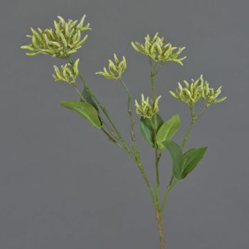 Kunst Hartriegel Zweig JOSIA mit Knospen, hellgrün, 50cm, Ø4-7cm