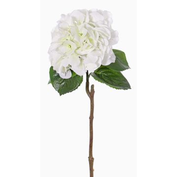 Hortensien Kunstblume CHIDORI, weiß-grün, 60cm, Ø18cm Hortensien Kunstblume CHIDORI, weiß-grün, 60cm, Ø18cm