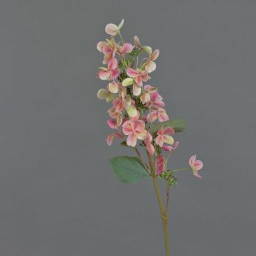 Künstliche Hortensie Paniculata CHADORA, pink-grün, 70cm, Ø12cm