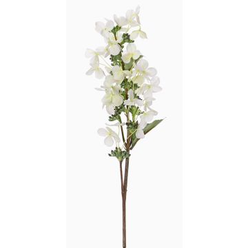 Künstliche Hortensie Paniculata CHADORA, weiß-grün, 70cm, Ø12cm Künstliche Hortensie Paniculata CHADORA, weiß-grün, 70cm, Ø12cm