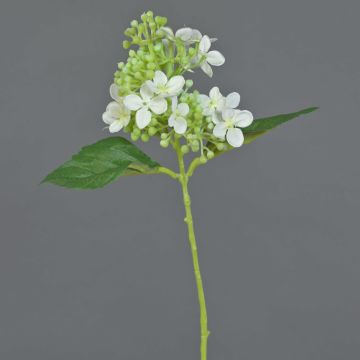 Künstliche Hortensie CHABY, weiß-grün, 30cm, Ø9cm