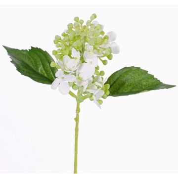 Künstliche Hortensie CHABY, weiß-grün, 30cm, Ø9cm Künstliche Hortensie CHABY, weiß-grün, 30cm, Ø9cm
