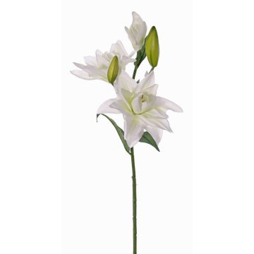 Künstliche Lilie ISALIE, weiß-grün, 80cm, Ø13-16cm