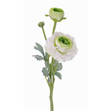 Ranunkel Zweig künstlich YAKIRA, weiß-grün, 40cm, Ø4,5-9cm
