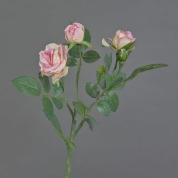 Künstlicher Rosenzweig CORALEE, rosa-creme, 50cm, Ø3-7cm