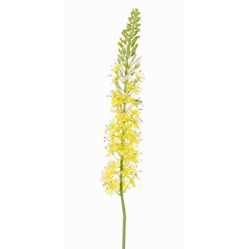 Große Kunstblume Steppenkerze SELINA, gelb-orange, 105cm, Ø9cm