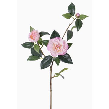 Textil Kamelienzweig RIXA mit Blüten, rosa, 85cm, Ø5-10cm Textil Kamelienzweig RIXA mit Blüten, rosa, 85cm, Ø5-10cm