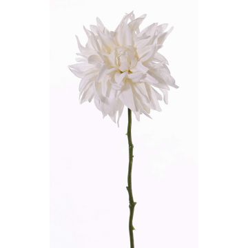 Dahlie Kunstblume SMILA, creme, 55cm, Ø12cm Dahlie Kunstblume SMILA, creme, 55cm, Ø12cm