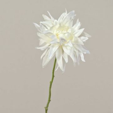Dahlie Kunstblume SMILA, creme, 55cm, Ø12cm