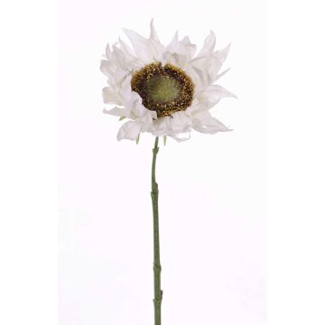 Künstliche Sonnenblume JANIKA, weiß, 60cm, Ø13cm