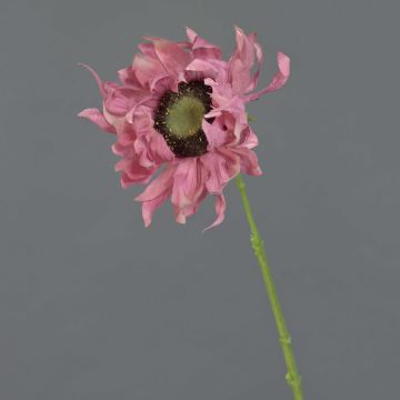 Künstliche Sonnenblume JANIKA, rosa, 60cm, Ø13cm