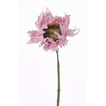 Künstliche Sonnenblume JANIKA, zartrosa, 60cm, Ø13cm