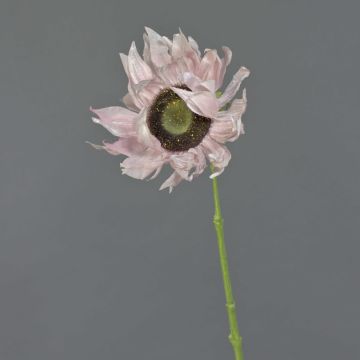 Künstliche Sonnenblume JANIKA, zartrosa, 60cm, Ø13cm