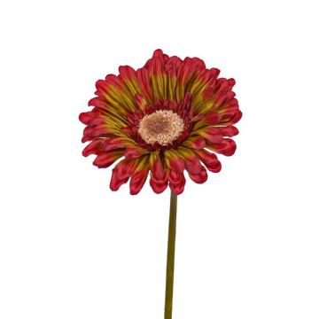 Künstliche Gerbera ANNEMARIE, rot-grün, 50cm, Ø10cm