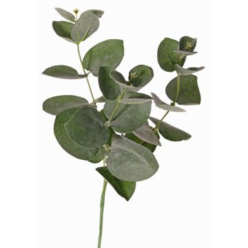 Deko Eucalyptus Zweig JAMAL, grün-grau, 25cm Deko Eucalyptus Zweig JAMAL, grün-grau, 25cm