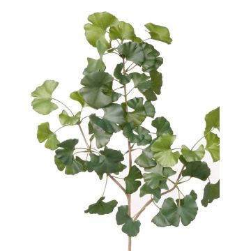 Künstlicher Ginkgo Zweig HILGER, schwer entflammbar, 70cm