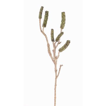 Zylinderputzer Deko Zweig SIRIUS mit Früchten, grün, 60cm Zylinderputzer Deko Zweig SIRIUS mit Früchten, grün, 60cm