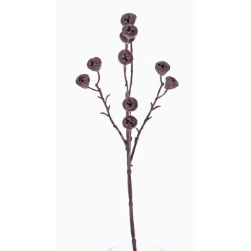 Künstlicher Eukalyptus Zweig BASILIUS mit Früchten, braun, 60cm Künstlicher Eukalyptus Zweig BASILIUS mit Früchten, braun, 60cm