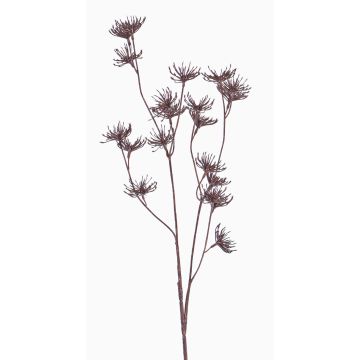 Wilde Möhre Deko Zweig DORIAN, braun, 65cm, Ø4cm Wilde Möhre Deko Zweig DORIAN, braun, 65cm, Ø4cm
